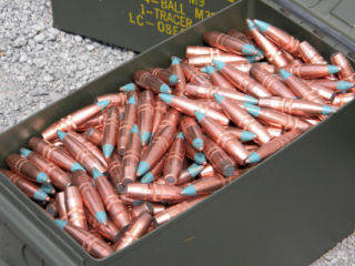 Blue Tip (Full Incendiary) projectiles - 621gr. 
